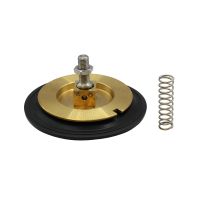 Verschleißteilesatz, MV, NC, MS, DN32-40, FPM, zwangsgesteuert, groß Verschleißteilesatz, MV, NC, MS, DN32-40, FPM, zwangsgesteuert, groß