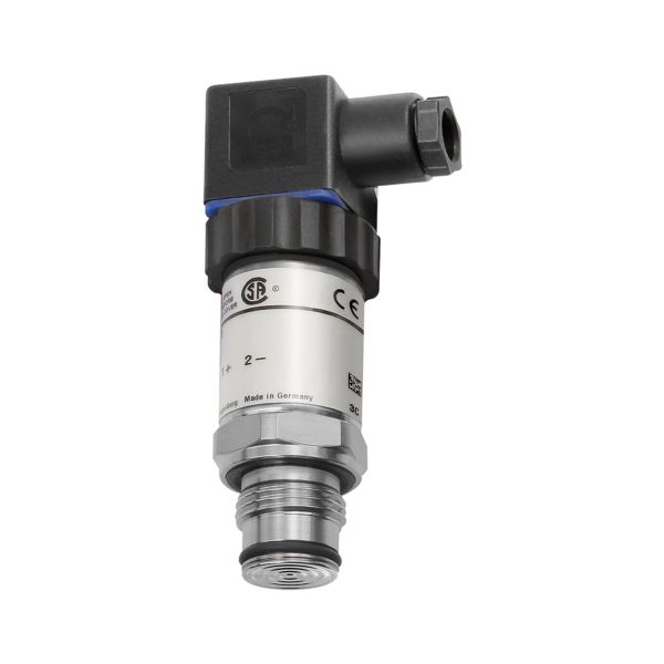 Artikelbild Artikelbild