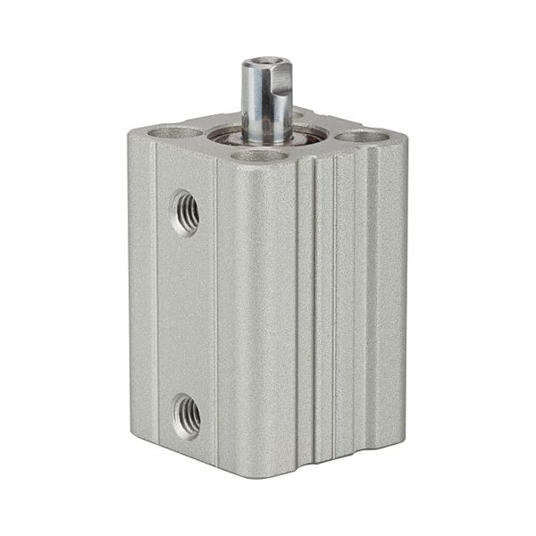 Artikelbild Artikelbild