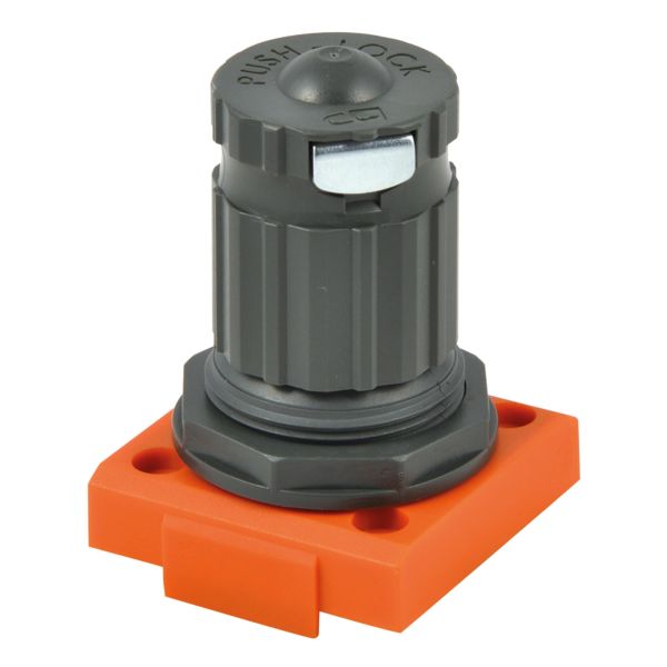 Artikelbild Artikelbild