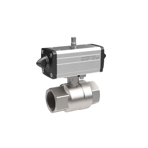 Artikelbild Artikelbild